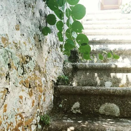 Lejlighed And Silvana