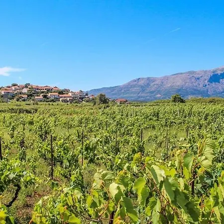 And Silvana Апартаменты